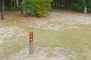 Close up of a brown site marker with an arrow on a wooden post. There is grass around the marker and a large bush in the background.