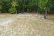 View of a vacant campsite with a picnic table, fire ring, and electric pedestal. The main part of the site is sand with large areas of grass. There is a large tree on the right side of site and a large bush on the left. The back of the site is densely forested creating partial shade.