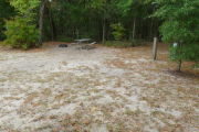 View of a vacant campsite with a picnic table, fire ring, and electric pedestal. The main part of the site is sand with sparse vegetation. There is a large bush on the left side of the site and a small tree on the left. The back of the site is densely forested creating partial shade.