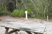 Side view of site 9 with picnic table in the front and electric and water hook-up across the site and native vegetation in the background.