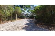 Front view of site 14 with electric and water hook-up to the right, clothesline to the left, and picnic table to the rear. Site is surrounded by native vegetation and trees. Site is dirt.