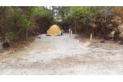 Front view of site 15 with electric and water hook-up to the right, clothesline and fire ring to the left, and picnic table to the rear. Site is surrounded by native plants and trees. Site is dirt.
