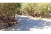 Front view of site 25 with fire ring, picnic table, and clothesline in background. This is a tent only site and is surrounded by lush vegetation. Site is dirt.