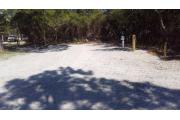 Front view of site 1 surrounded by native vegetation. Picnic table and fire ring on site.  Site is dirt.