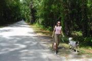 A lady in a pink T shirt is walking a large, white furry dog and a second smaller brown and white dog along a wooded roadway.