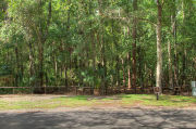 Partially sunny campsite with woods in the background.