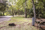 Partially sunny campsite with a fire ring, picnic table, and black top road.