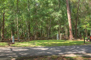 Partially sunny campsite with a picnic table and woods in the background.