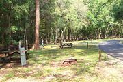Partially sunny campsite with a fire ring, picnic table, and black top road.