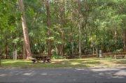 Partially sunny campsite with a picnic table and woods in the background.