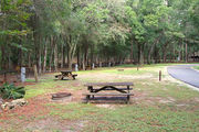 Partially sunny campsite with a fire ring, picnic table, and black top road