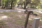 Partially sunny campsite with a fire ring, picnic table, and black top road