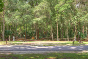 Partially shaded campsite with a picnic table, bordered by a woodland backdrop and an asphalt road.