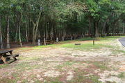Partially shaded campsite with a picnic table and woods in the background.