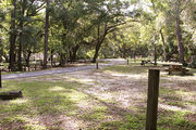 Partially shaded campsite with a fire ring, picnic table, and black top road.