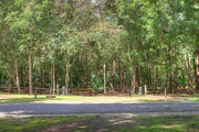 Partially sunny campsite with a picnic table, fire ring, and asphalt road, bordered by woods in the background.