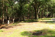 Partially sunny campsite with a fire ring and woods in the background.