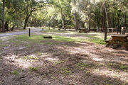 Partially sunny campsite with a fire ring, picnic table, and black top road.