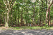 Shady campsite with a fire ring, picnic table and asphalt road amongst large oak trees.