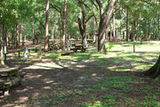Shady campsite with a fire ring and picnic table amongst large oak trees.