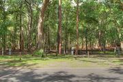 Partially sunny campsite with a fire ring, picnic table, and asphalt road amongst large oak trees.