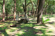Partially shaded campsite with a picnic table and fire ring amongst large oak trees.