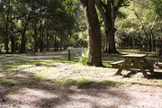 Partially shaded campsite with a picnic table and asphalt road amongst large oak trees.