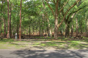 Shaded campsite with a picnic table and fire ring next to an asphalt road.