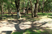 Shaded campsite amongst large oak trees.