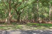 Shaded campsite with a picnic table and asphalt road amongst large oak trees.