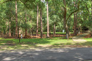Shaded campsite amongst large oak trees with a picnic table, asphalt road, and sidewalk leading to restrooms.