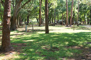 Shaded campsite amongst large oak trees.