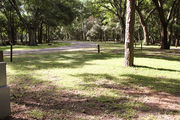 Shaded campsite next to an asphalt road amongst large oak trees.