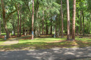 Shaded campsite with a picnic table next to an asphalt road, and sidewalk leading to restrooms.