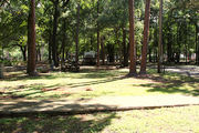 Shaded campsite bordered to one side by a sidewalk.