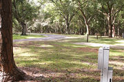 Shaded campsite with an asphalt road.