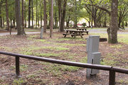 Shaded campsite with a fire ring and picnic table surrounded by beautiful oak trees and pine trees.