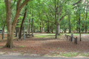 Shaded campsite with a picnic table surrounded by beautiful oak trees and pine trees.