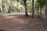 Shaded campsite with a fire ring, asphalt road, and beautiful oak trees and pine trees.