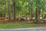 Shaded campsite with a picnic table and fire ring surrounded by beautiful oak trees and pine trees.