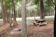 Shaded campsite with a picnic table and fire ring next to an asphalt road, surrounded by beautiful oak trees and pine trees.