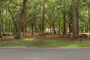Shaded campsite with a picnic table surrounded by an asphalt road and beautiful oak trees and pine trees.
