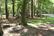 Shaded campsite with a fire ring, surrounded by beautiful oak trees and pine trees.