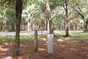 Shaded campsite next to an asphalt road and surrounded by beautiful oak trees and pine trees.