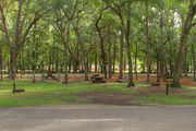 Shaded campsite with a picnic table, next to an asphalt road and surrounded by beautiful oak trees and pine trees.