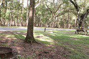 Shaded campsite with a picnic table and fire ring, next to an asphalt road and surrounded by beautiful oak trees and pine trees.