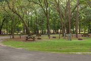 Shaded campsite with a picnic table and fire ring, next to an asphalt road and surrounded by beautiful oak trees and pine trees.