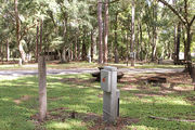 Shaded campsite with a picnic table and fire ring, next to an asphalt road and surrounded by beautiful oak trees and pine trees.