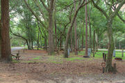 Shaded campsite next to an asphalt road and surrounded by beautiful oak trees and pine trees.