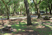 Shaded campsite with a picnic table and fire ring, next to an asphalt road and surrounded by beautiful oak trees and pine trees.